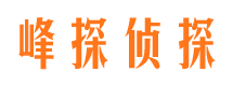 忻府市侦探公司